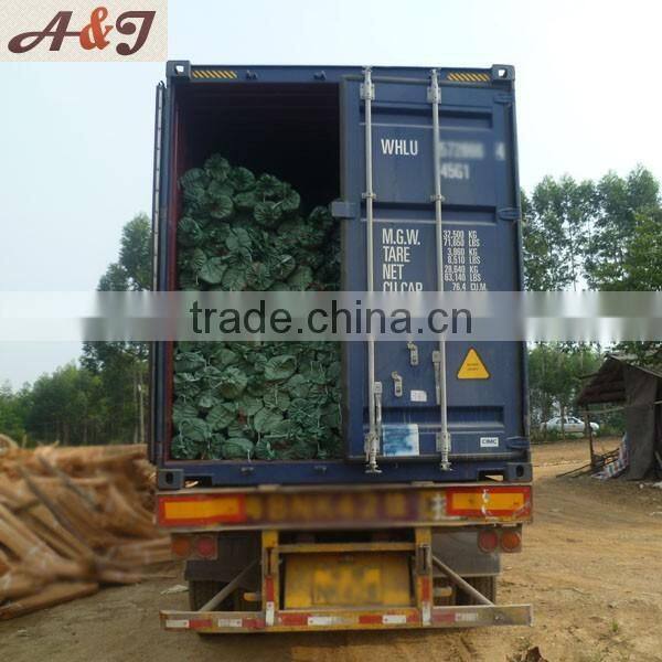 Natural wooden mop stick 120*2.2 cm with Italian screw