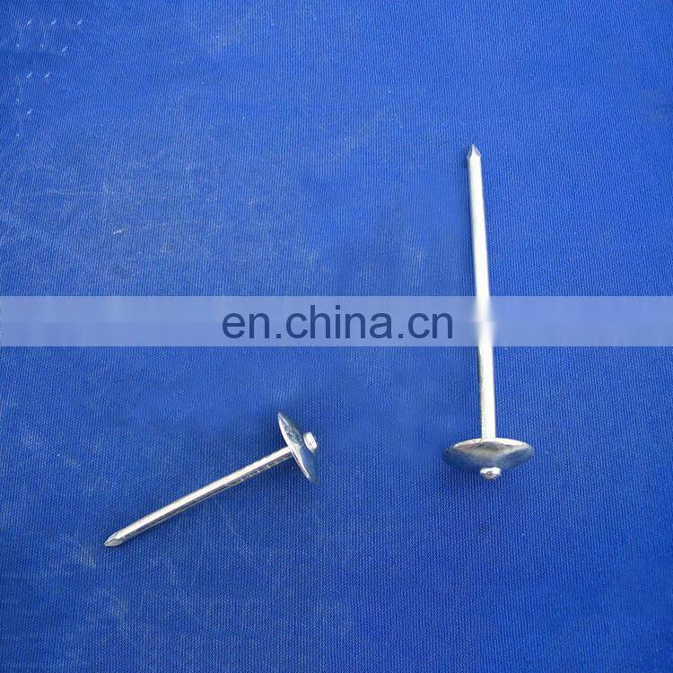 Cheap umbrella head 14-20mm roofing nails galvanized