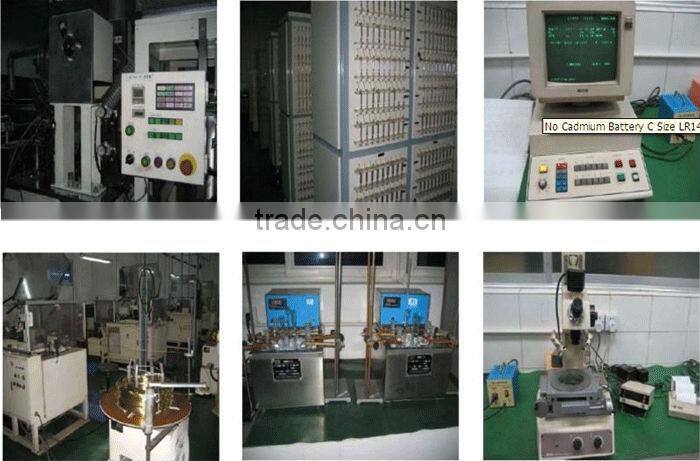 AA Size and 1.5V Nominal Voltage alkaline battery