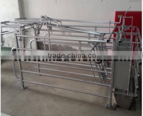 high quality pig iron freedom pig cage
