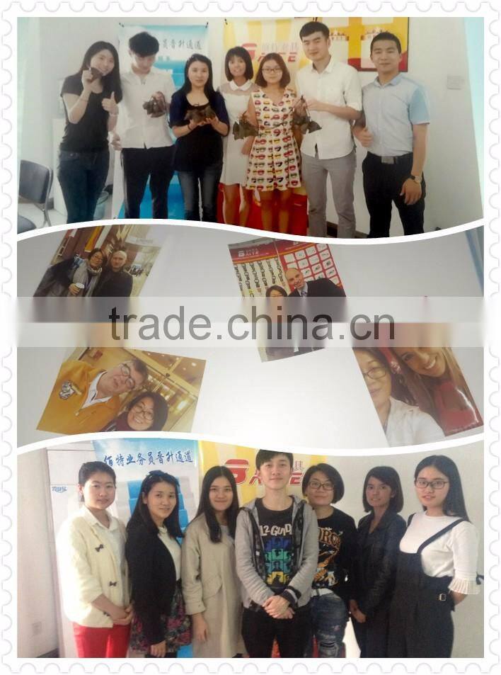 China Supplier For Sale Stainless Steel Aisi 316 304 U-Bolt With Nut Hardware Carabiner Rigging Screw Galvan