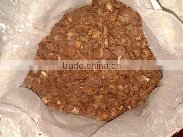 SMALL YOUNG BETEL NUT FOR PROCESSING IN CHINA (Skype: anda.ty, Email: katherine.vilaconic@)