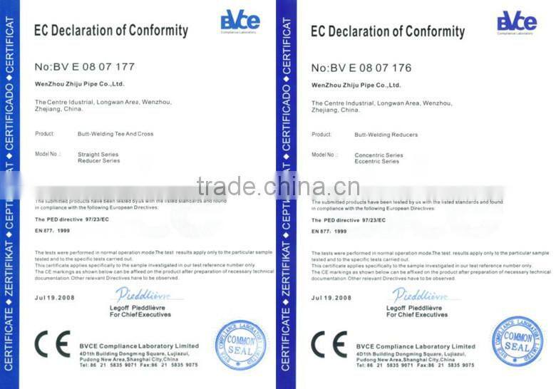 Stainless Steel Pipe Fitting WN Weld Neck Flange with Annealed