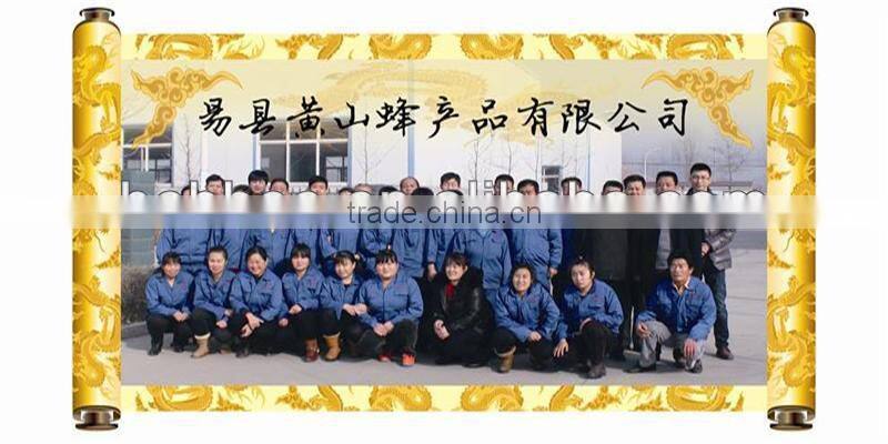 Manual 3 frame honey extactor