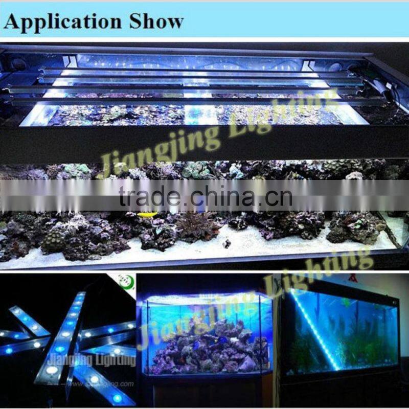IP68 Full Spectrum Led Marine Reef Lighting Led Aquarium lighting Guide