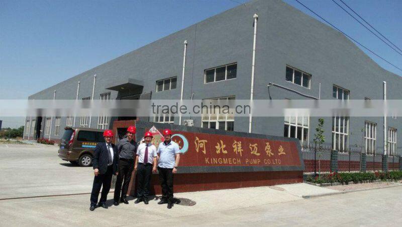popular standard slurry pump spare parts manufacturer in Hebei, China