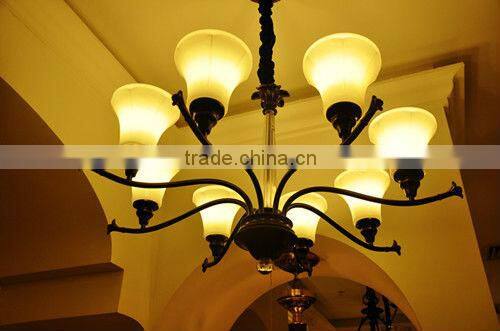 R series spot lights LED R63 8W produced in China with high quality and best price