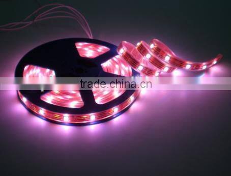 Best price High brightness flexible led strip light IP65/IP20/IP67/IP68 led rope