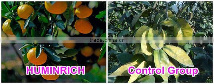 Huminrich Shenyang SH9002s-1 100PCT 55HA+65OM Soluble Super Grade Humic Acid