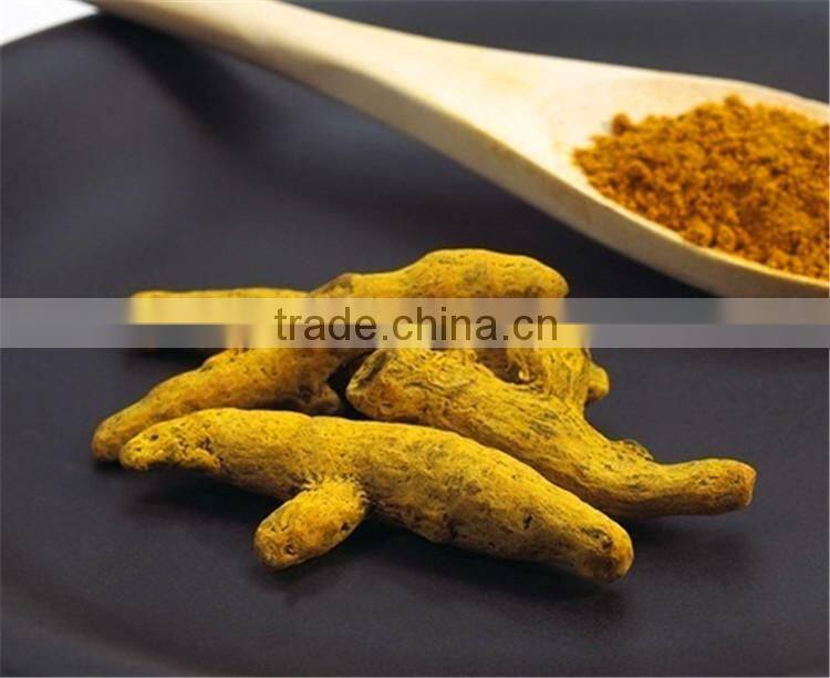 Free Samples 100% natural tumeric Curcumin extract 95%