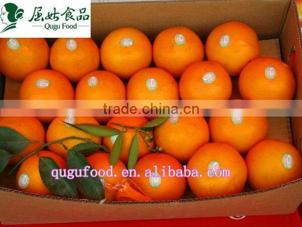 2014 Fresh juicy navel orange wholesale