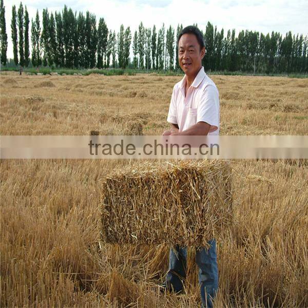 high efficiency and professional straw bundling machine