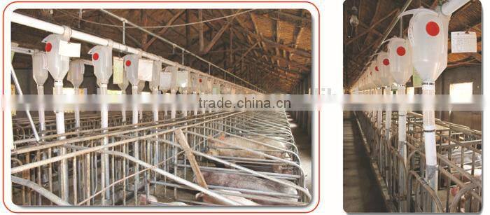 pig animal farming / farm equipment
