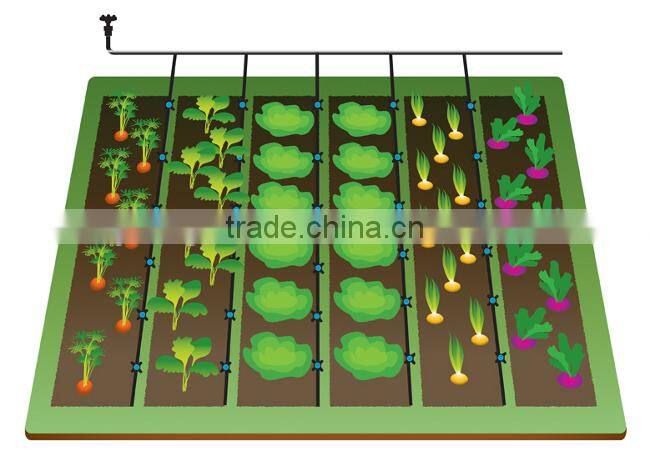 CYLR Independent Design Agriculture Drip Irrigation System For Saving Water