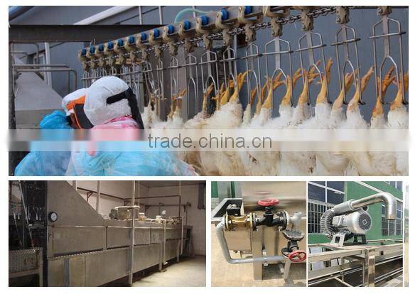 poultry processing slaughtering equipment For chicken slaughterhouse