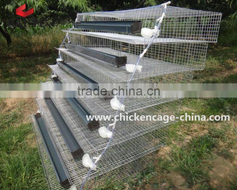 Good Quality Quail Egg Laying Cage In Abuja