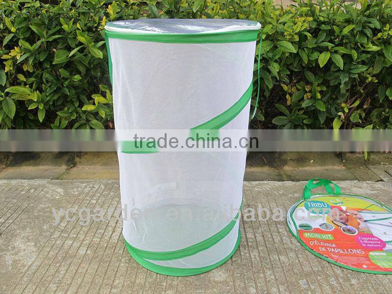 mesh cage for observing insects