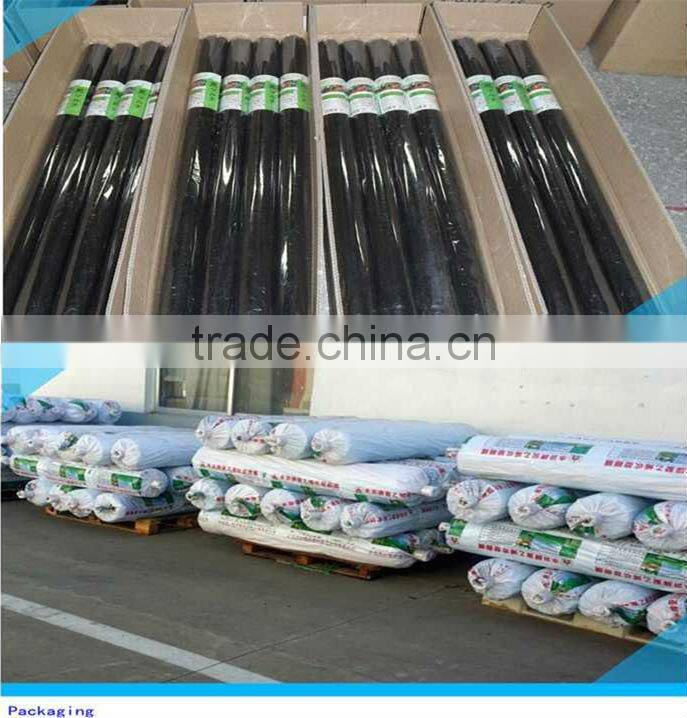 High Quality Anti-UV Greenhouse Film for Vegetables