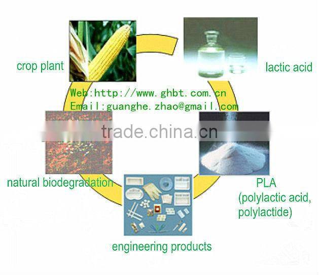 PLA 100% biodegradable starch-based biodegradable plastic toothbrush