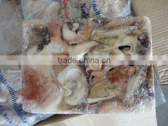 frozen giant squid neck