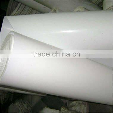 expanded ptfe sheet