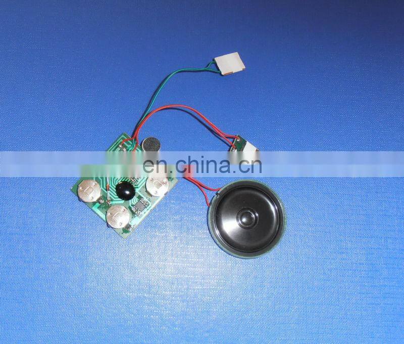 Customized Voice Chip Recording Device With Replacement Battery