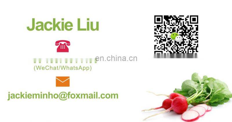 FC-300 CE Approved large Capacity Poultry Chicken Duck Dicer Dicing Machine