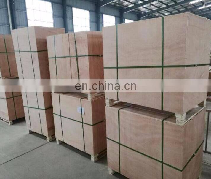 Factory Price New Model Double Pan Fried Ice Cream Machine for Sale