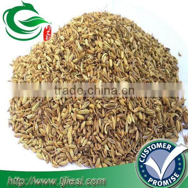 supply fennel fruit for pungent spice