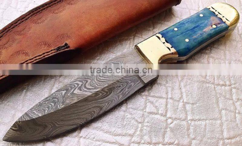 Fixed blade Custom Damascus skinneri Hunting knife wood handle