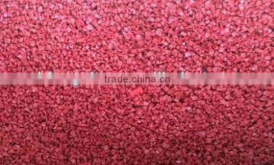 2015the latest double belt-type color sorter for plastic recycling particle