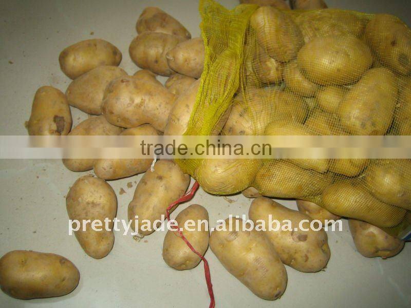 Potato supplier