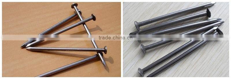 Common Iron Nail Wire Nail With Galvanized and Polished/common iron nail factory