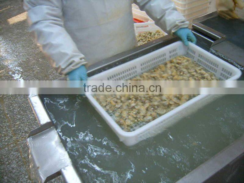 Good Quality Short Necked Clams