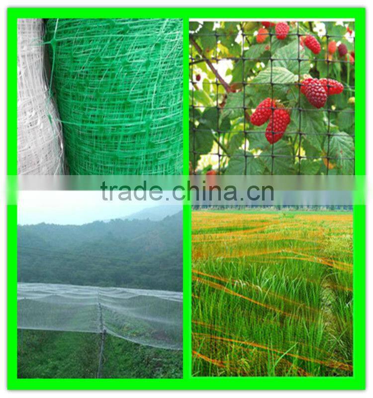 Henan Suntex supply virgin HDPE extruded anti bird net/ knitted anti bird net for fruit protection