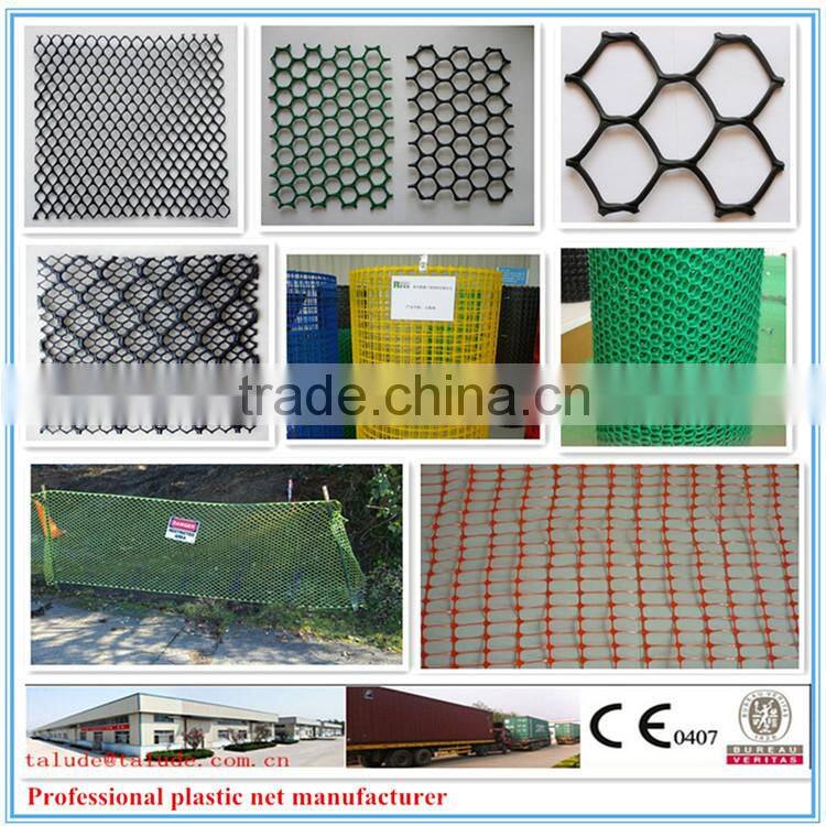 HDPE plastic net(geonet) Ce121 CE131 CE151 CE161 CE163 CE181
