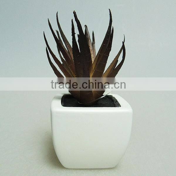 beauty plastic pot plants for living room decoration