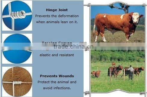 field fence /farm guard field fence(ISO9001 factory )