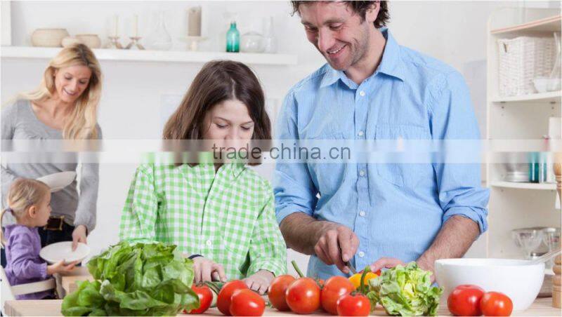 electric fruit dehydrator with GS & UL approves