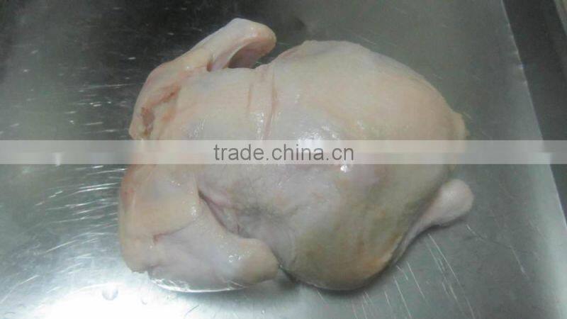 Frozen Halal Whole Chicken without head,neck,liver,feet