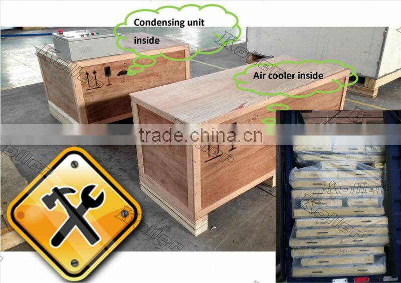 walk in Koller freezer cold room for fishery