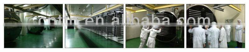 concentrate fruit juice powder