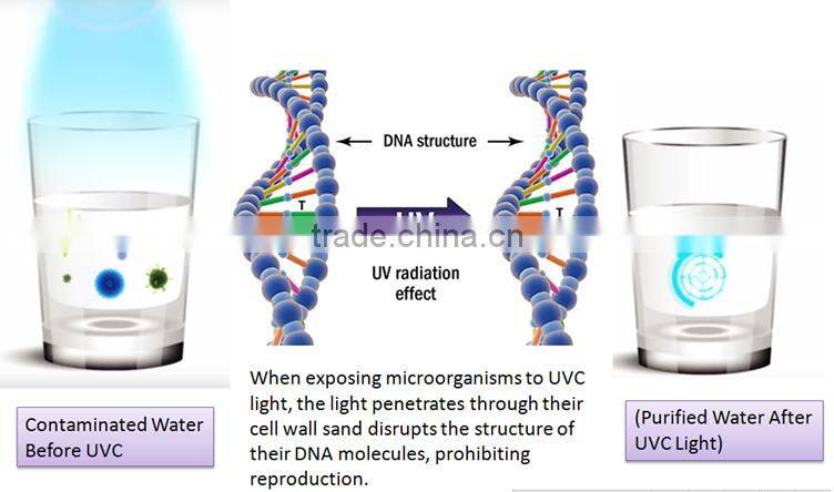 Urban Bottle Water UVC LED Portable Ultraviolet Water Sterilizer
