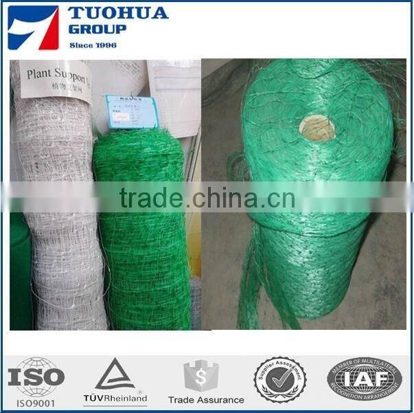 Green Vegetable Climbing Netting Supplier