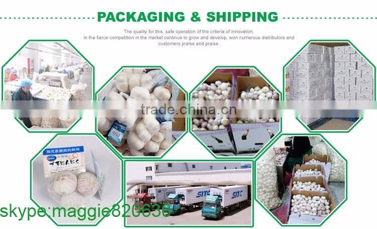 Good price of single clove garlic packing with ISO9001 certificate