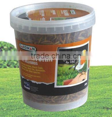 protein natural feed dried mealworm bird food