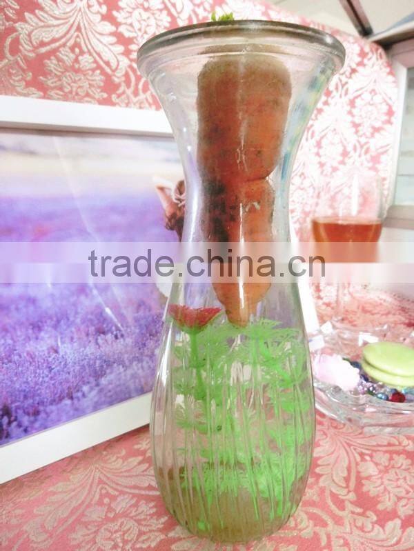 216mm Height Hot Sale Glass Material Green Water Plant Empty Decorative Bottle/Jar