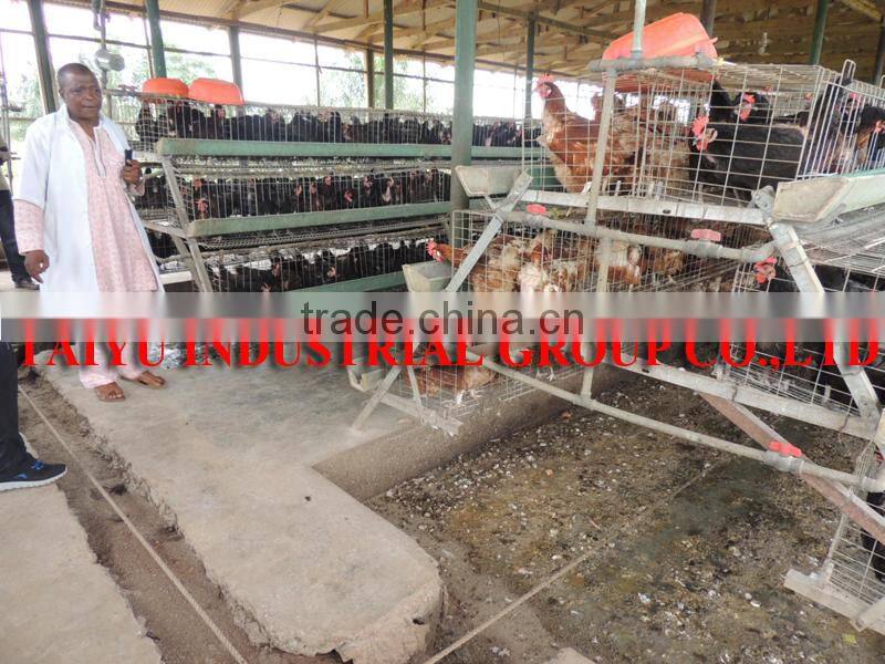 TAIYU Manure Remove System For Poultry