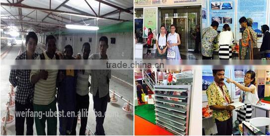 automatic feeding system