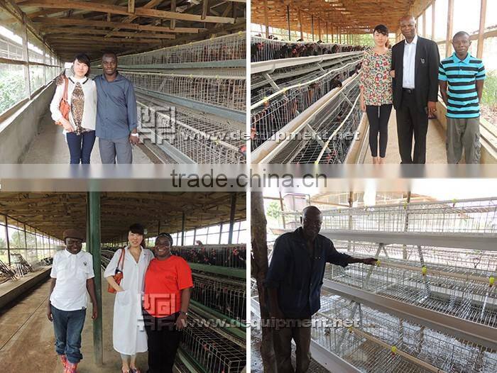 TA NO.1 lagos sample 120 birds a type poultry battery cage for nigerian farm